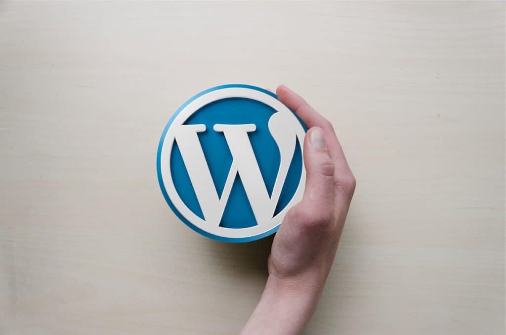 hand holding onto a three-dimensional WordPress logo  how to code a website